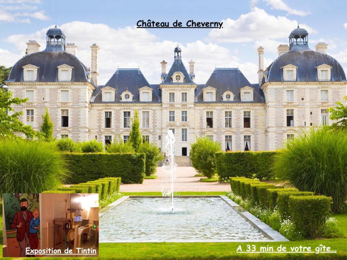 La Porte Aux Dames Romorantin-Lanthenay Dış mekan fotoğraf