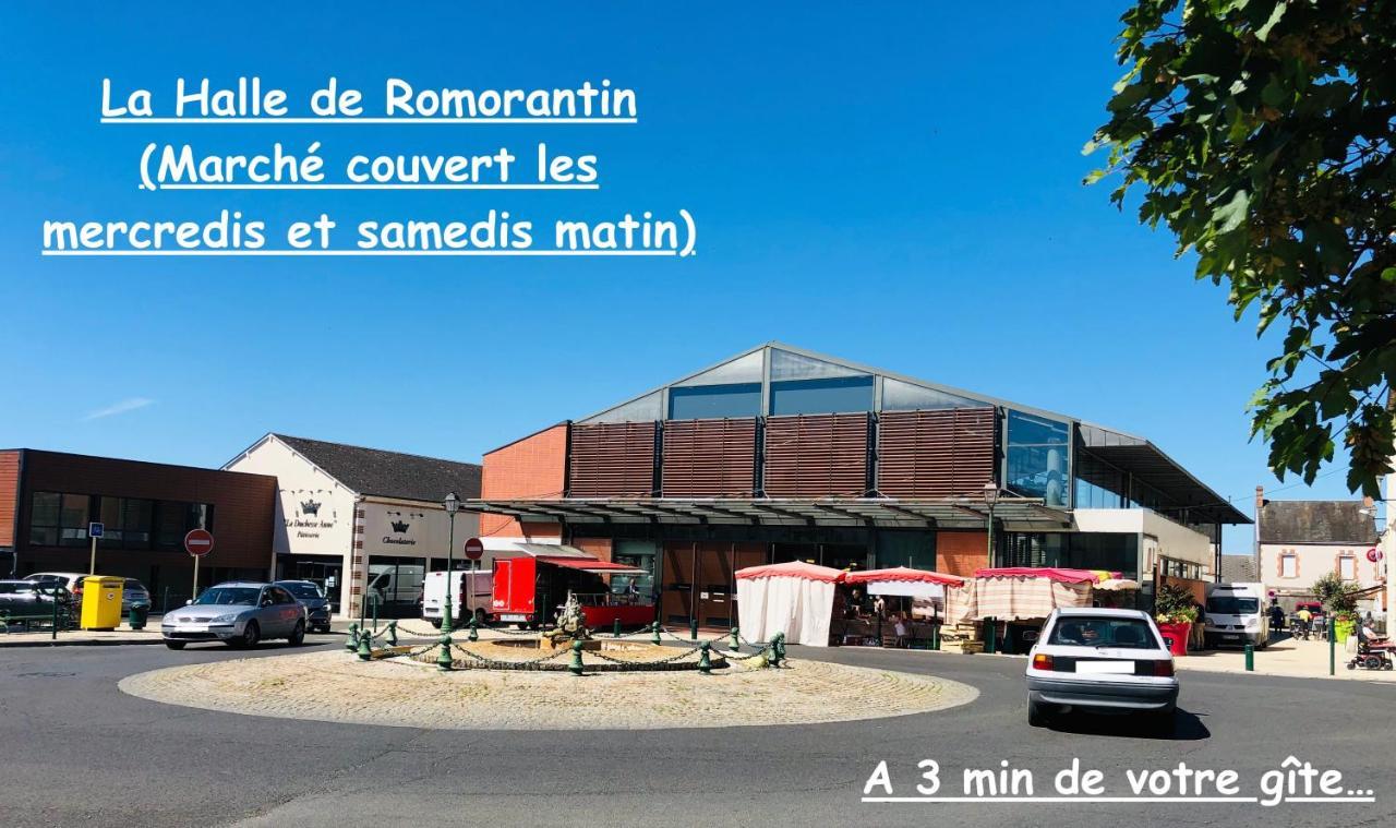 La Porte Aux Dames Romorantin-Lanthenay Dış mekan fotoğraf